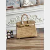 Top Hermes 25CM Croco Vein birkin Bag
