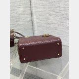 Fashion Christian Dior Lady lambskin 24CM Bag