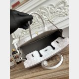 Best Hermes 25CM Croco Vein birkin Bag
