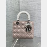 Christian Dior Lady 20CM Women's Designer AAA+ Bag