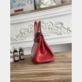 Best Hermes 25CM Croco Vein birkin Bag