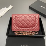 Top CC woc Lambskin women bag AP0250
