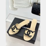 2026 CC Classical Mules
