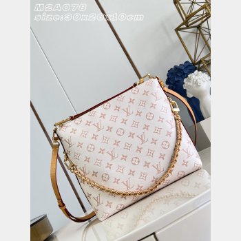 Louis Vuitton Top Quality Multipass New M2A078 Bags