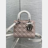 Christian Dior Lady 20CM Women's Designer AAA+ Bag