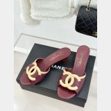 2026 CC Classical Mules