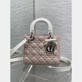 Christian Dior Lady 20CM Women's Designer AAA+ Bag