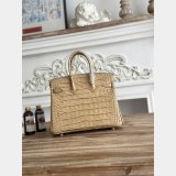 Top Hermes 25CM Croco Vein birkin Bag