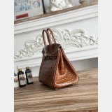 Best Hermes 25CM Croco Vein birkin Bag