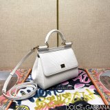 Dolce & Gabban Lizard-skin pattern Sicily handbag 20CM