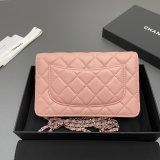 Top CC woc Lambskin women bag AP0250