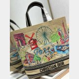 Dior Souvenir Soft Dior Book Tote PAIRS