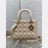 Fashion Christian Dior Lady lambskin 24CM Bag