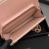 Top CC woc Lambskin women bag AP0250