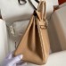 Replica Hermes Lizard Replica Handbag Store 25 Bag