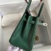 Hermes Replica Handbag Store 25 Retourne Handmade Bag In Malachite Lizard Leather Hermes Replica Handbag Store 25 Retourne Handmade Bag In Malachite Lizard Leather