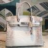 Hermes Himalayan Replica Handbag Store 30 Niloticus Crocodile Skin