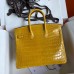 Replica Hermes Crocodile Replica Handbag Store 25 Bag