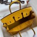 Replica Hermes Crocodile Replica Handbag Store 25 Bag