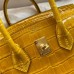 Replica Hermes Crocodile Replica Handbag Store 25 Bag