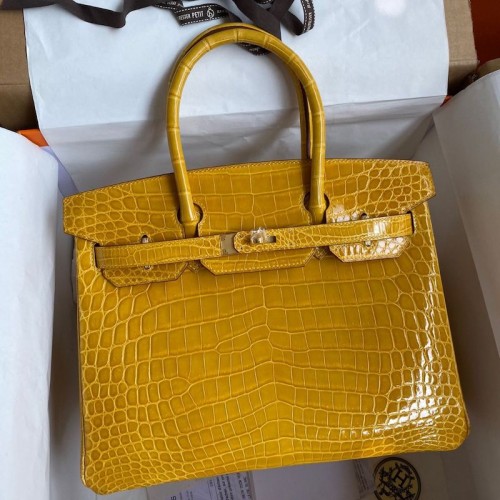 Replica Hermes Replica Handbag Store 30 Crocodile Bag