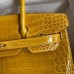 Replica Hermes Replica Handbag Store 30 Crocodile Bag