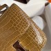 Replica Hermes Crocodile Constance 18 Bag