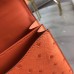 Hermes Ostrich Constance 18 Bag Replica