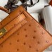 Hermes Gold Kelly Mini II 19cm Ostrich Bag Replica Replica Hermes Kelly Mini II 19cm Ostrich Bag