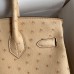 Replica Hermes Ostrich Replica Handbag Store 30cm