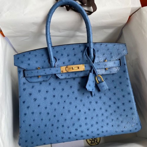 Replica Hermes Ostrich Replica Handbag Store 30cm