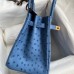 Replica Hermes Ostrich Replica Handbag Store 30cm