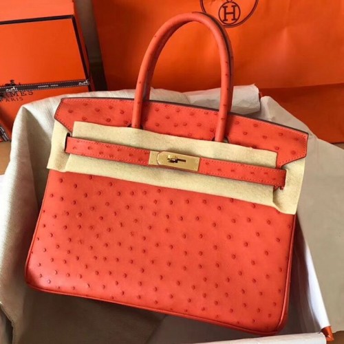 Replica Hermes Ostrich Replica Handbag Store 30cm