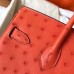 Replica Hermes Ostrich Replica Handbag Store 30cm
