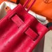 Replica Hermes Ostrich Replica Handbag Store 30cm