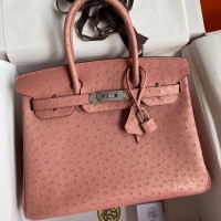 Replica Hermes Ostrich Replica Handbag Store 30cm