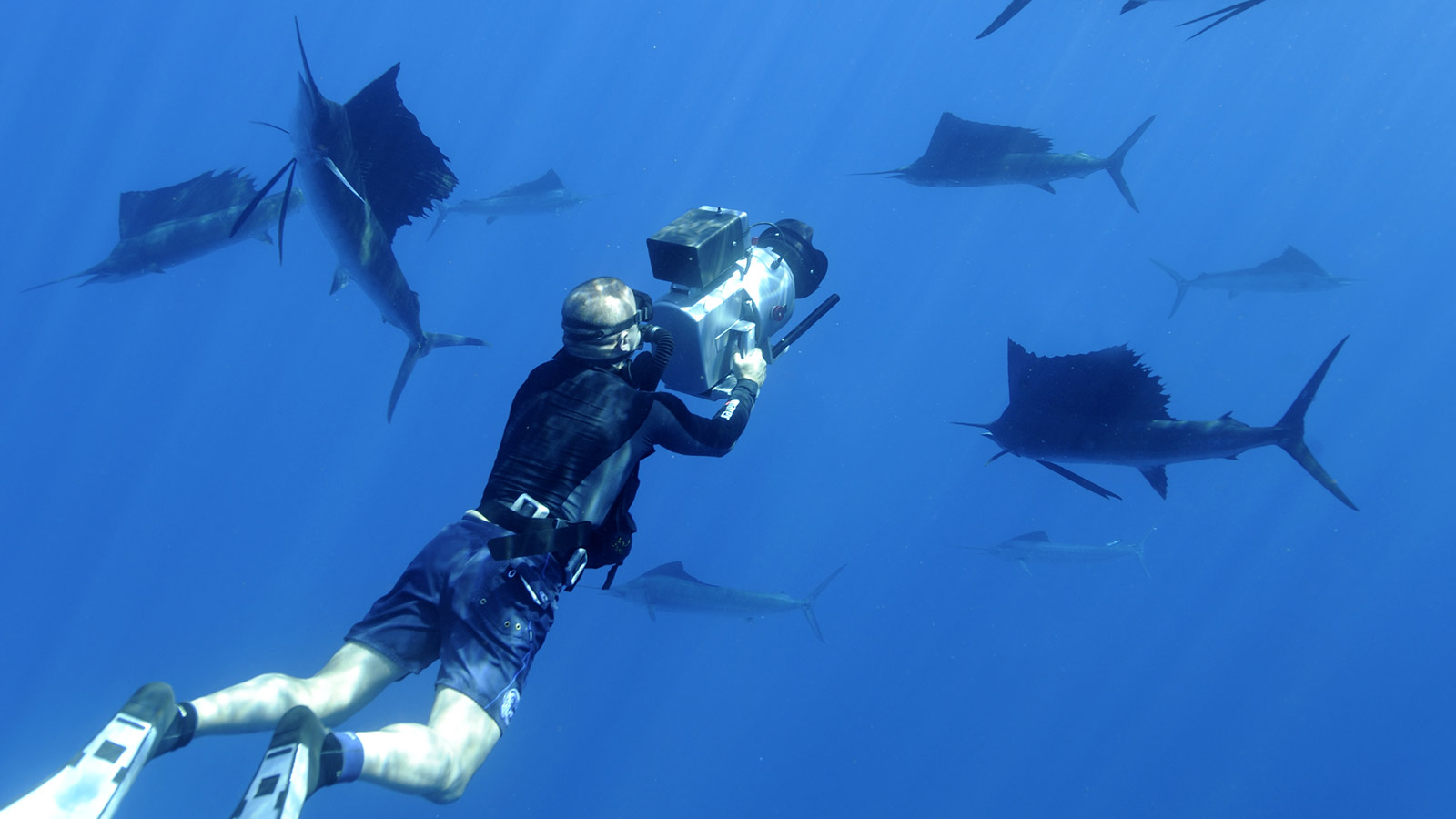 5 Watch Brands that Celebrate World Oceans Day with Solid Commitment to Conservation